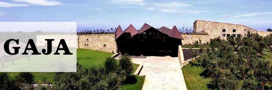 GAJ-copertina_856x525