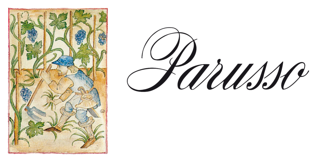 Parusso_Logo-2-1024x522