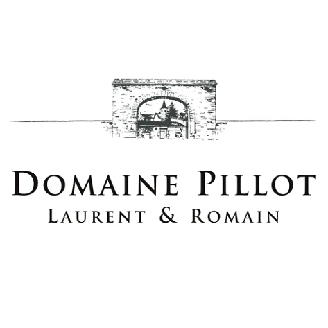 LOGO-PILLOT_f8b43eaf-7fcc-4c70-917c-5f19f568b1ee_473x473