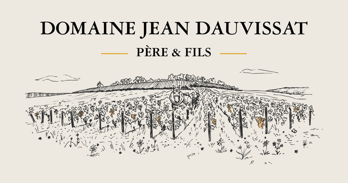 6446916e595d1a44f3e2ffc9_Opengraph