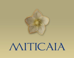 miticaia-300x237